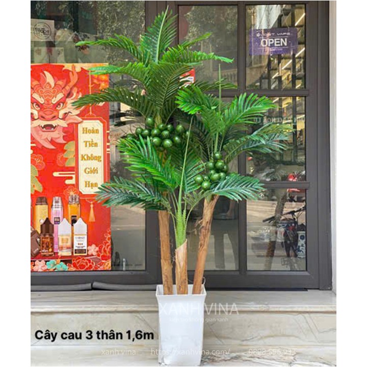 Cây cau giả đủ kích thước 160cm -180cm hàng đẹp